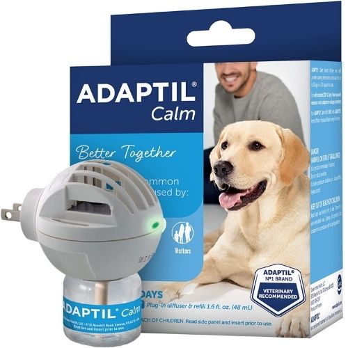 Medication to hot sale calm dog anxiety